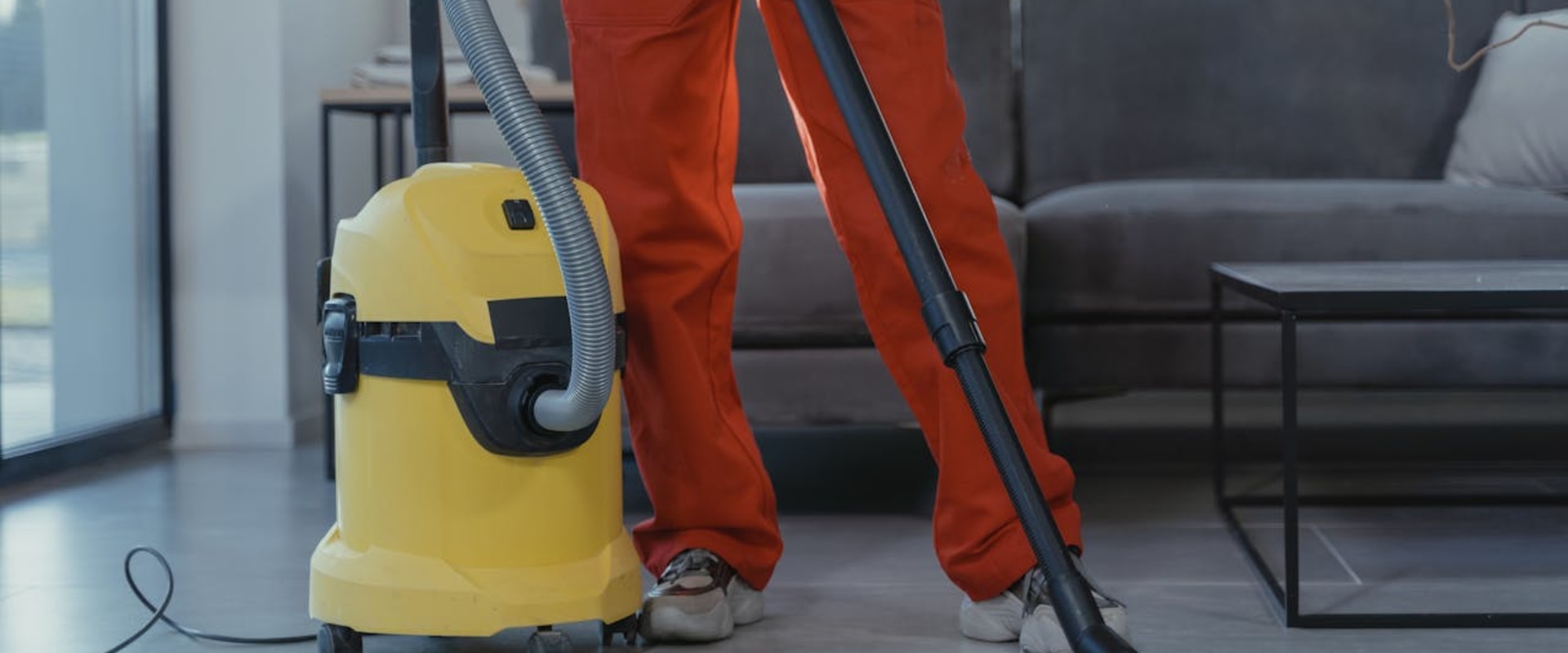 How Can Commercial Cleaning Help With Rodent Control In Sydney?