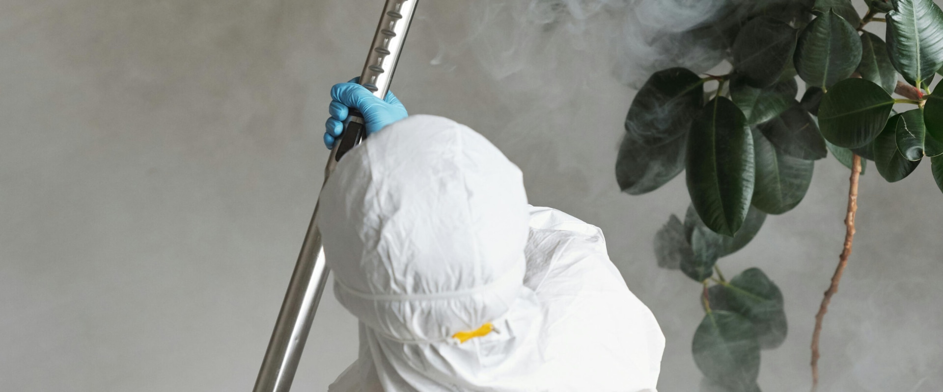 Rodent Control And Beyond: The Ultimate Pest Control Strategy Every Orlando Home Needs