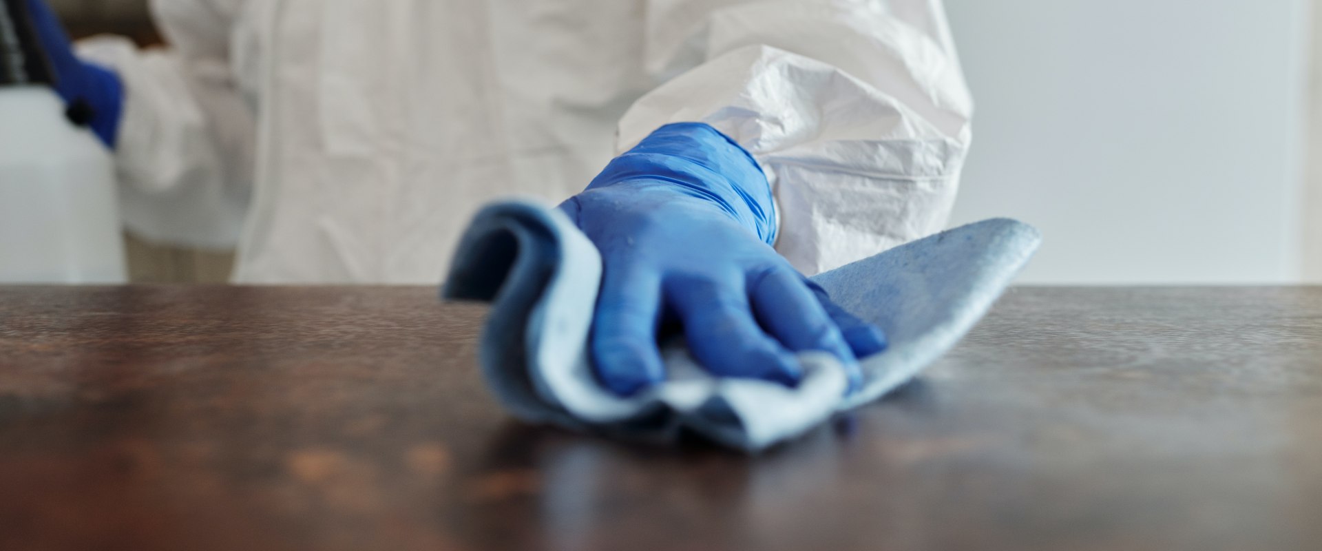 How To Properly Clean Up After Rodent Control Treatment In Your Sydney Clinic