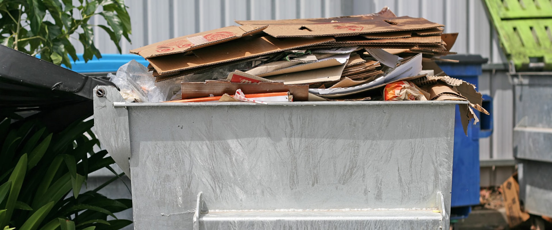 How To Prevent Rodent Infestation In Dallas