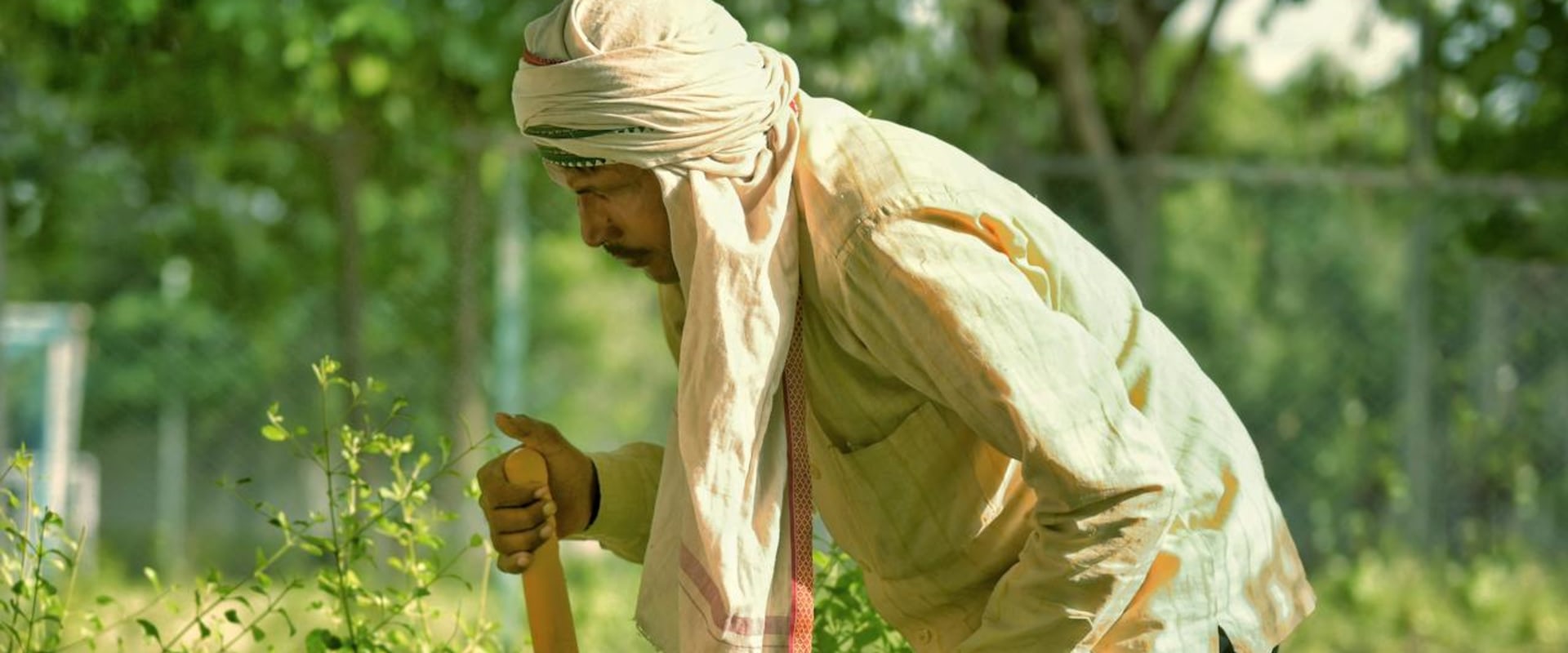 How Professional Bush Trimming Helps Reduce Rodent Problems in Northern Virginia