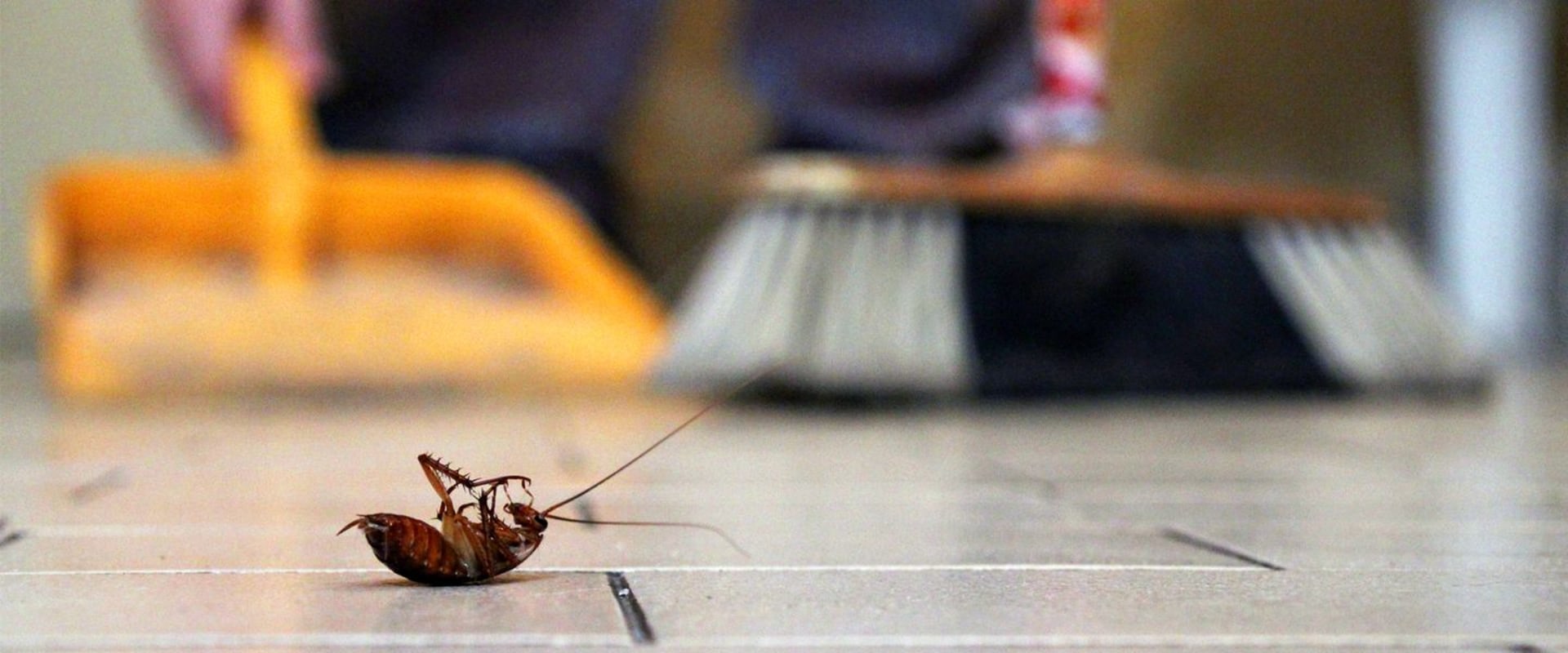What is the most common way to control pests?