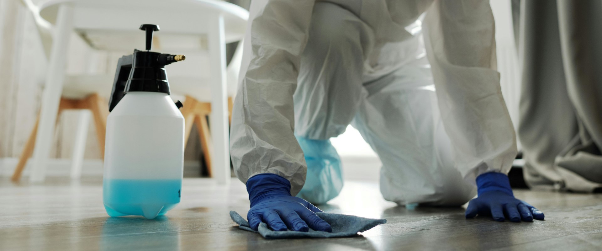 Secure Your Ahwatukee Home with Rodent Control & Remodeling