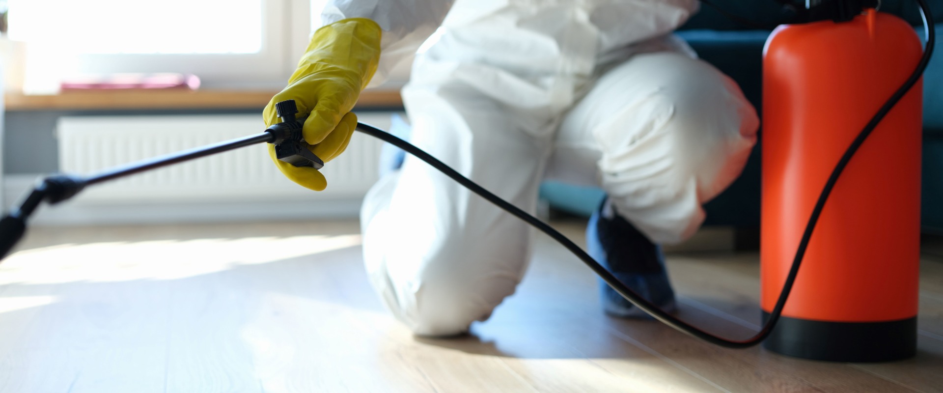 The Hidden Dangers Of Rodents: Why Huntington Beach Residents Need Rodent Control Services