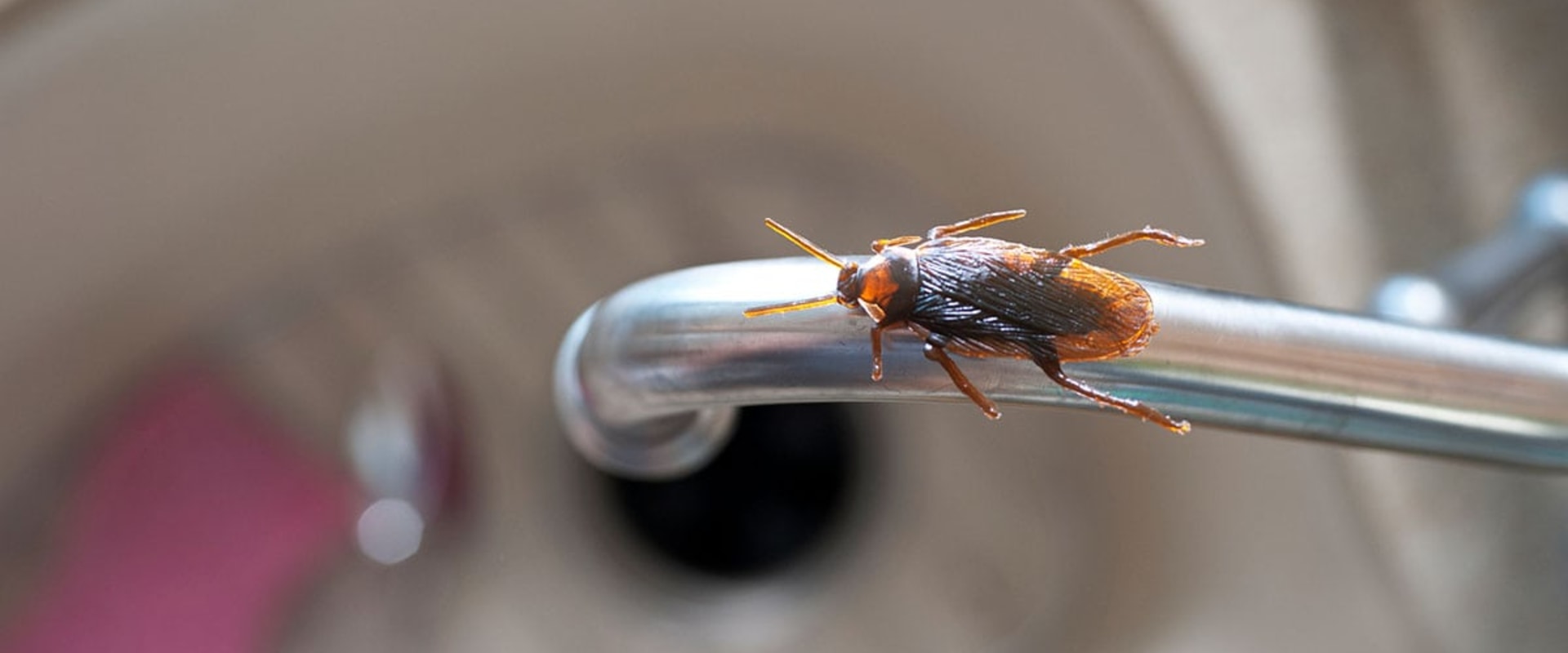 What is the best way to control pests?