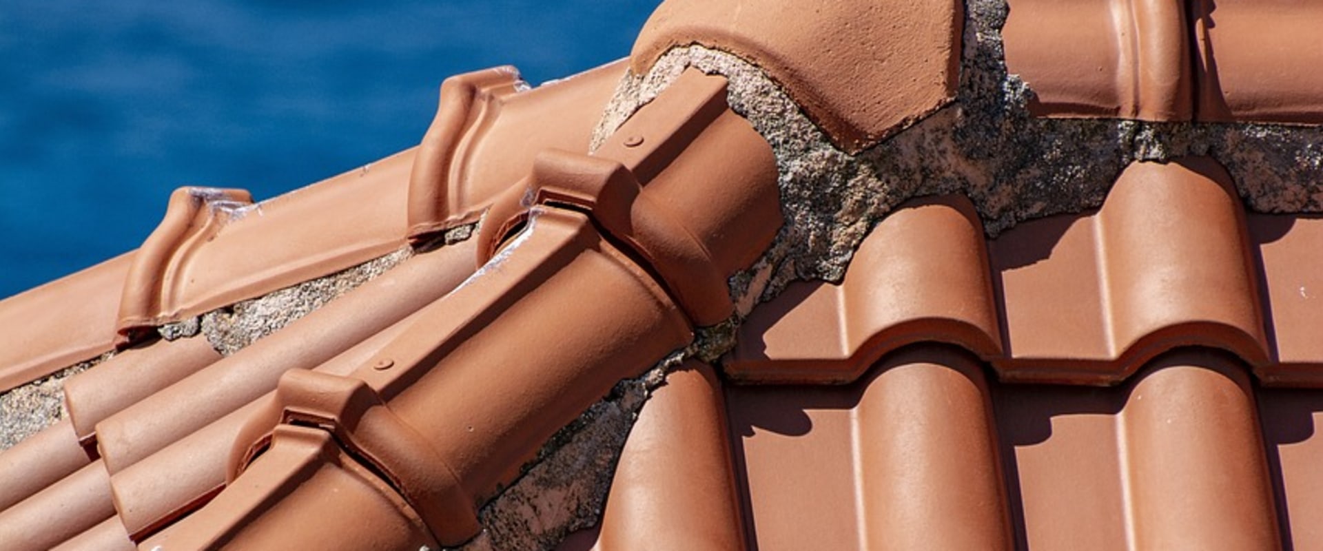 Protect Your Home with Vinyl Siding and Rodent Control