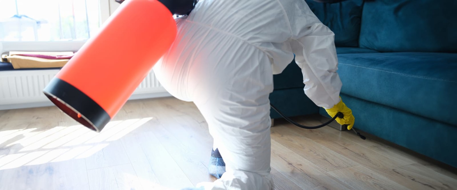 Protect Your Home with Effective Rodent Control & Mold Cleanup