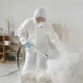 The Importance Of Professional Pest Control For Rodent Problems In Charleston, SC