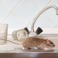 Rid Your Home Of Unwanted Guests: The Ultimate Guide To Rodent Control In Calgary