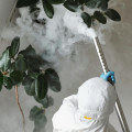 Rodent Control And Beyond: The Ultimate Pest Control Strategy Every Orlando Home Needs