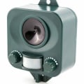 Do electronic rodent repellers really work?