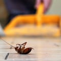 What is the most common way to control pests?