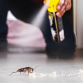 Rodent Control In Oahu That Combines Efficiency With Safety