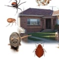 Which pest control?