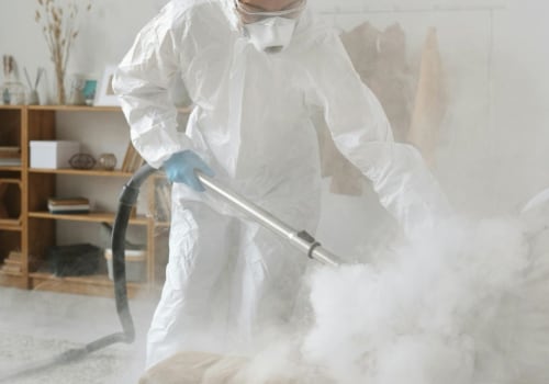 The Importance Of Professional Pest Control For Rodent Problems In Charleston, SC