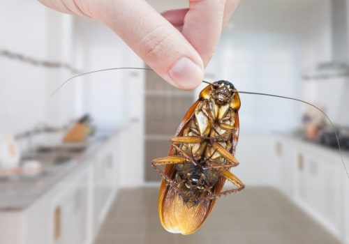 What is the best way to prevent and control pests?