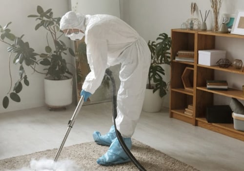 Effective Rodent Control and Rug Repair in Portland