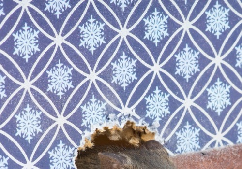 What keeps rodents away from your house?