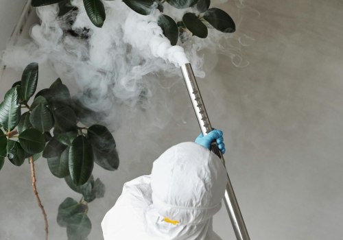 Rodent Control And Beyond: The Ultimate Pest Control Strategy Every Orlando Home Needs