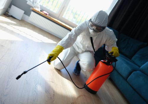 Rodent Control Solutions: How Pest Control Services In Atlanta, GA, Can Safely Manage Rodent Infestations