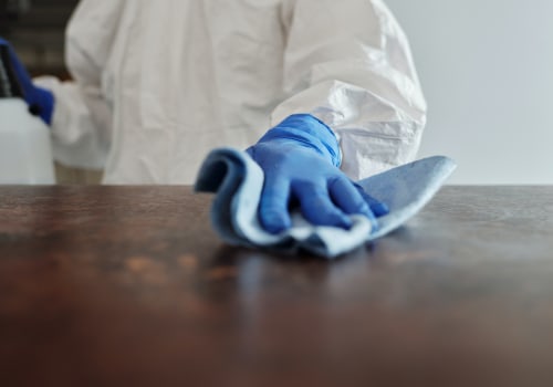 How To Properly Clean Up After Rodent Control Treatment In Your Sydney Clinic