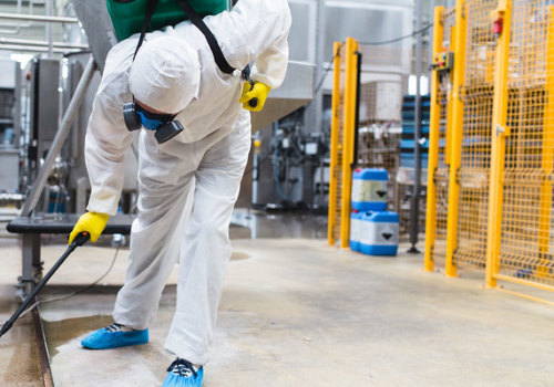 Helping Home Sellers With Rodent Pest Control In Baltimore