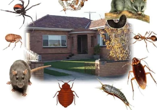 Which pest control?