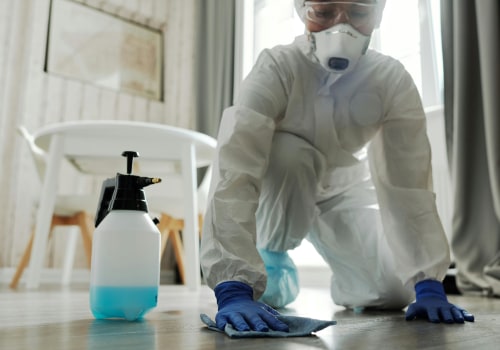 Secure Your Ahwatukee Home with Rodent Control & Remodeling