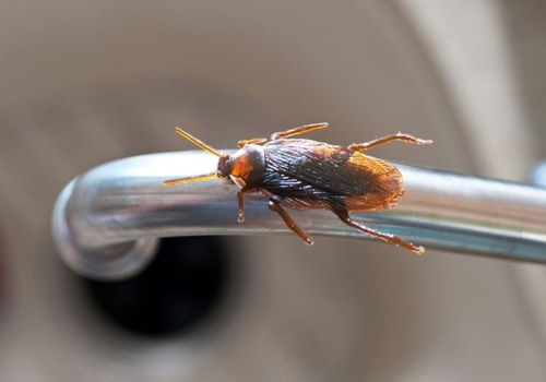 What is the best way to control pests?