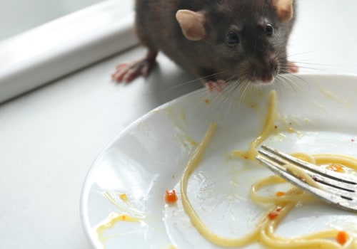 What are the ways of controlling rodents?